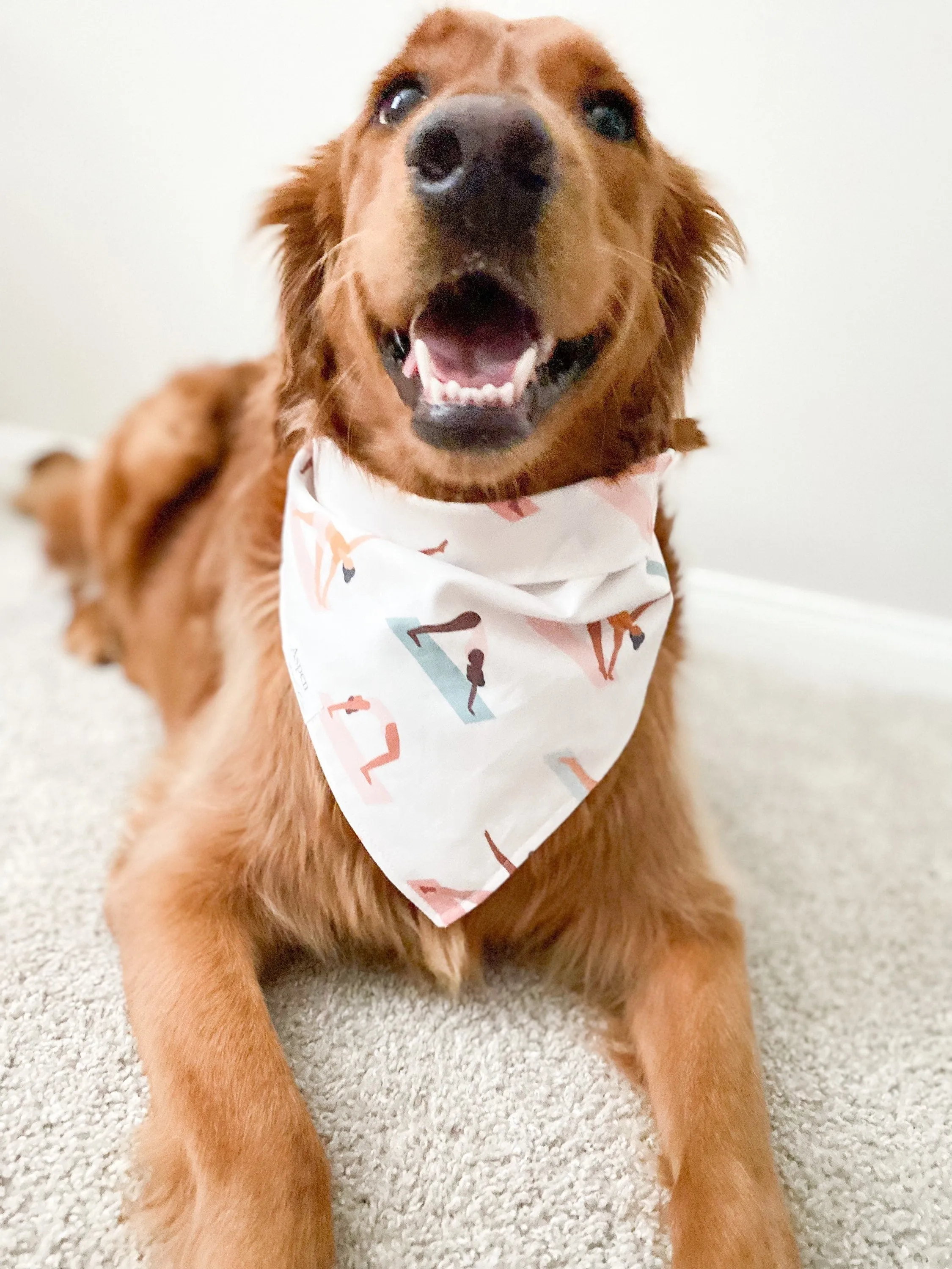 Yoga Pose Dog Bandana